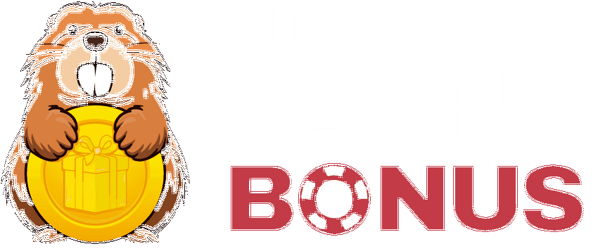 Ideal No KYC Casino Sites 2026 - No ID Confirmation Gambling Establishments